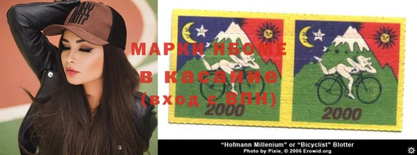 apvp Бородино