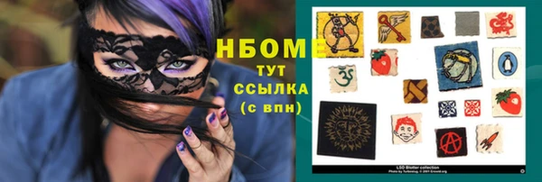 apvp Бородино