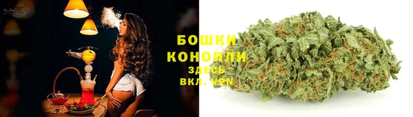 apvp Бородино