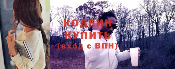 apvp Бородино