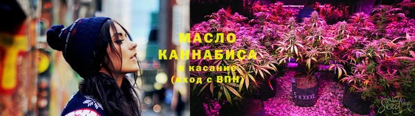 apvp Бородино