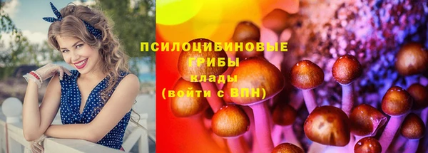 стаф Бронницы