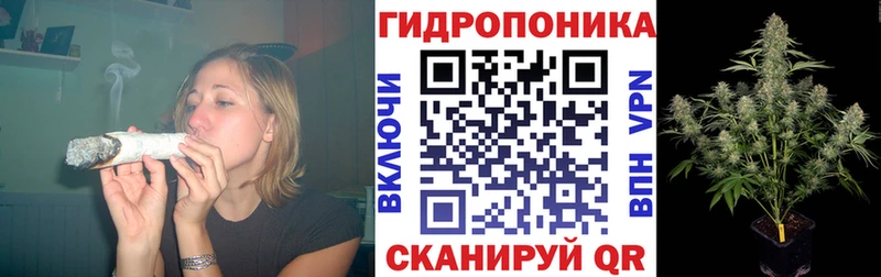 купить закладку Тбилисская Марихуана сатива